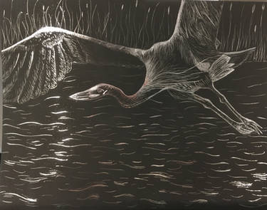 Explore the Best Scratchboard Art | DeviantArt