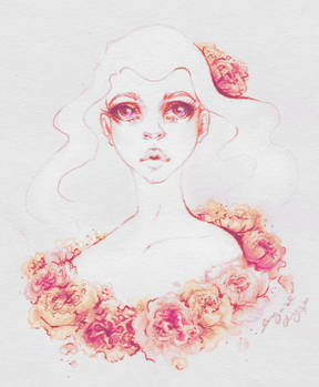 Carnations blush