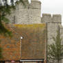 roof tops and turrets