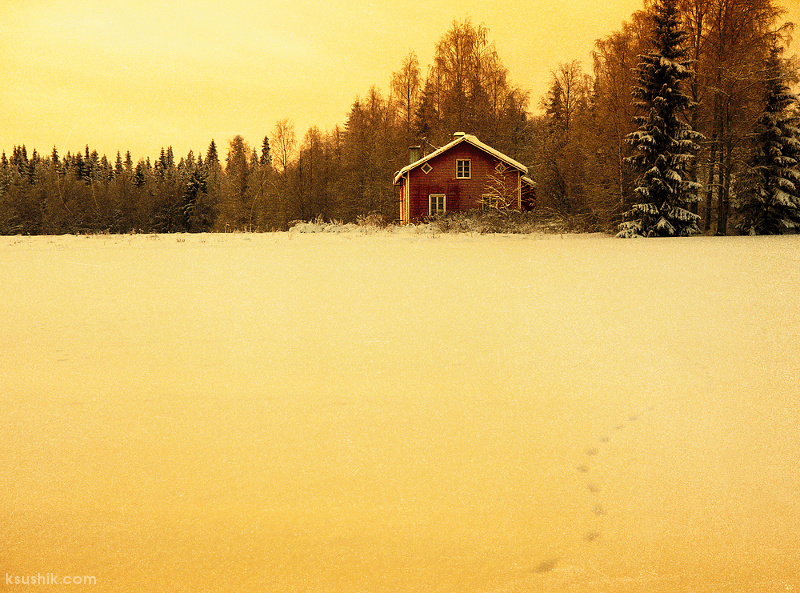 Lonely House