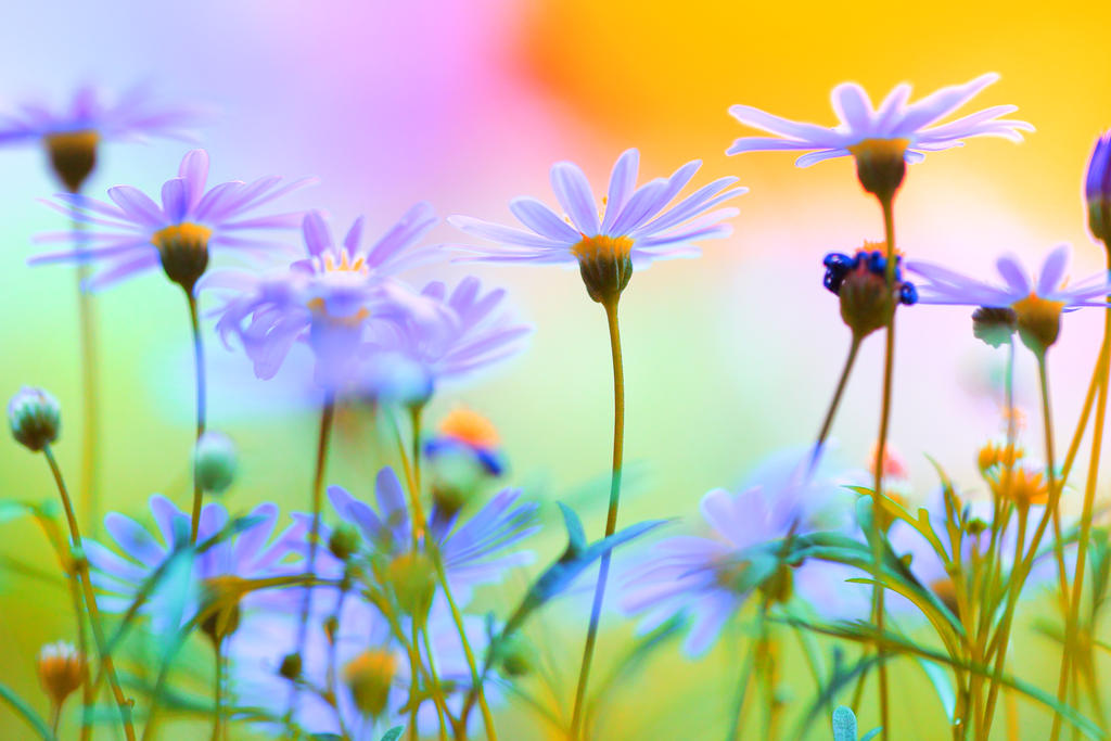 Spring scenery by Mars-Hill on DeviantArt