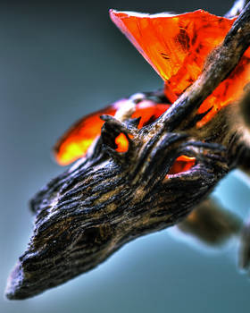 Dragon Head