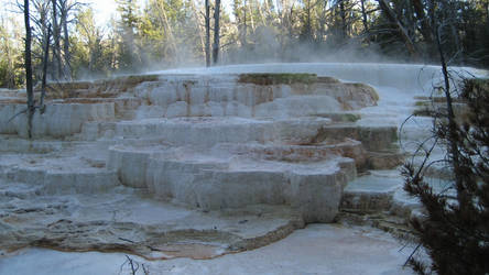 Yellowstone Heated water