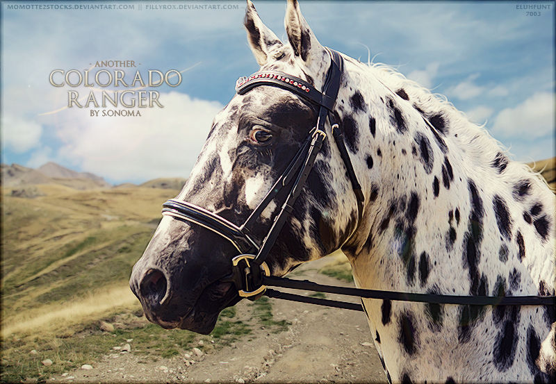 Colorado Rangers by Sonoma by xxELUHFUNT on DeviantArt