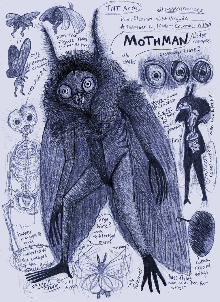 Mothman Behind Mothman Anatomy Page by Kway100 on DeviantArt