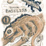 Tropical Basilisk Anatomy Illustration