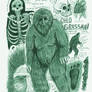 Grassman (Eastern Bigfoot) Anatomy Sketch Page