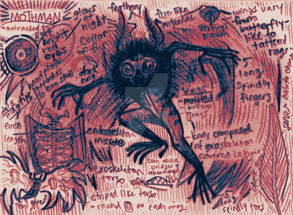 Mothman Graph Mothman Anatomy 2 by Kway100 on DeviantArt