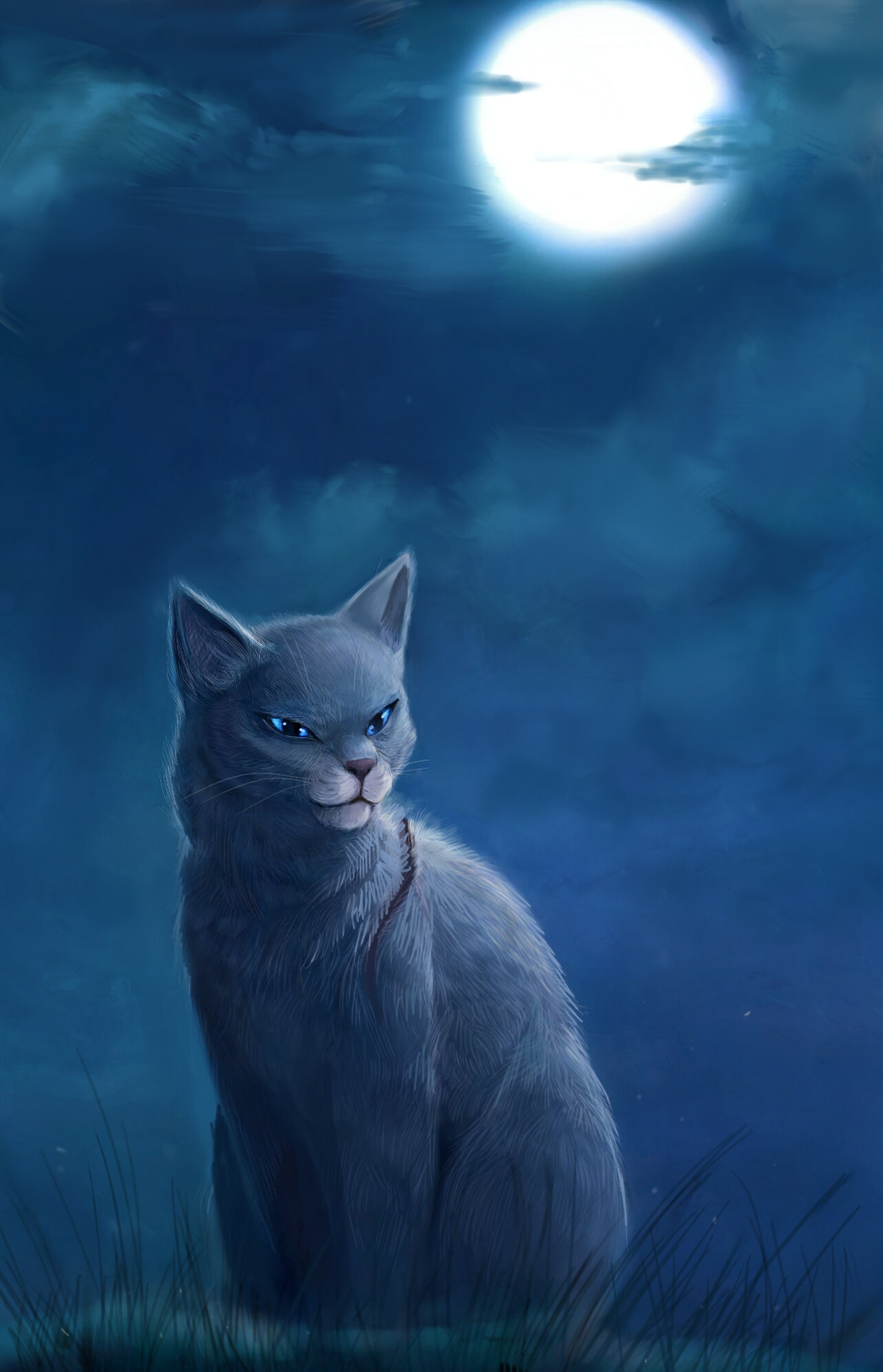 Bluestar by Muzli on deviantART  Warrior cats, Warrior cats art