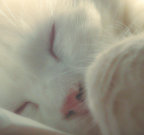 While he is Sleeping