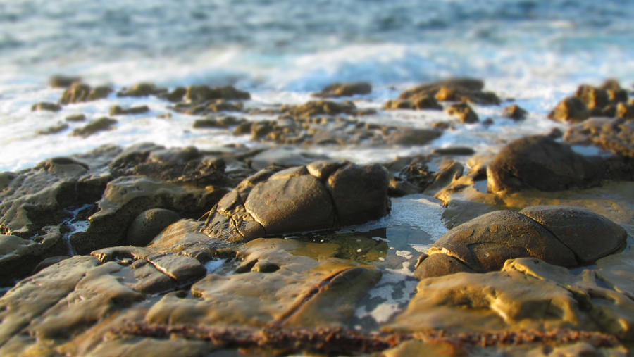 Beach rocks