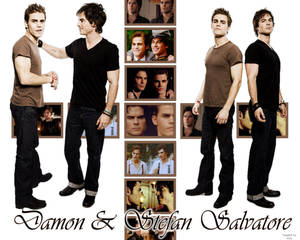 Damon and Stefan Salvatore Desktop