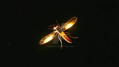 Explore the Best Firefly Art | DeviantArt