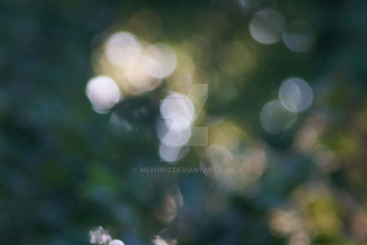 original shot with a7 07/08 2025 Untitled