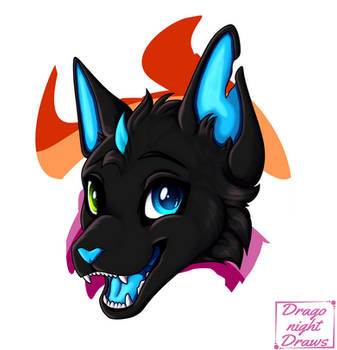 (COMM) Cellshadet headshot for BelieveShadows