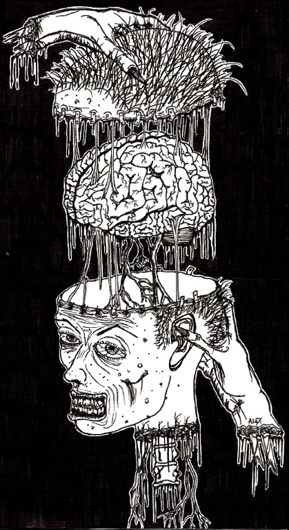 BRAINS