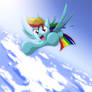 Flying with Dashie