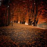 Polish golden autumn by WiciaQ
