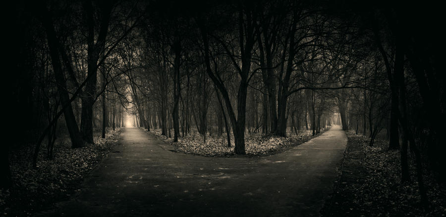 Freedom of Choice by WiciaQ Freedom of Choice by WiciaQ