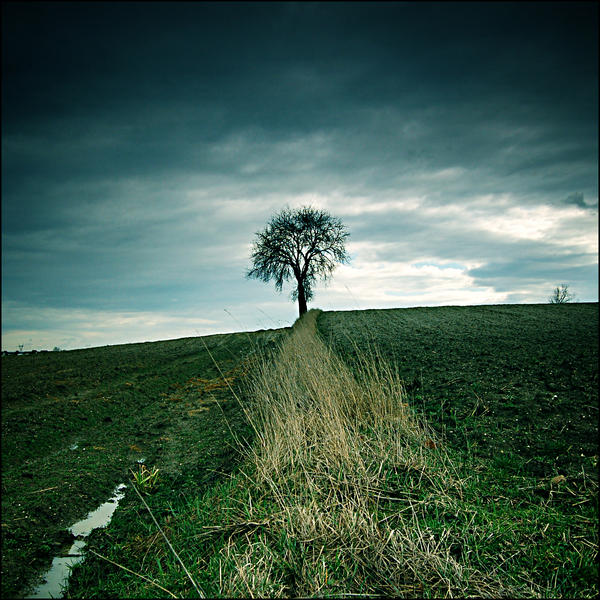 fault tree