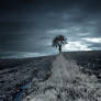 Hole in the sky