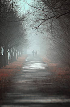 walk in the fog II