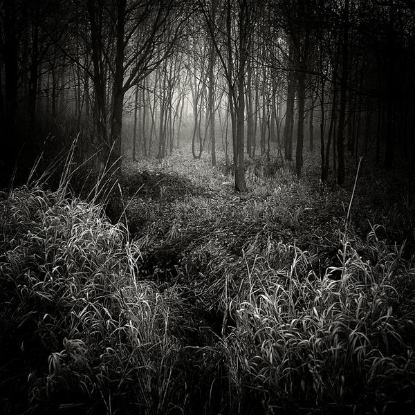 Invitation to insomnia by WiciaQ