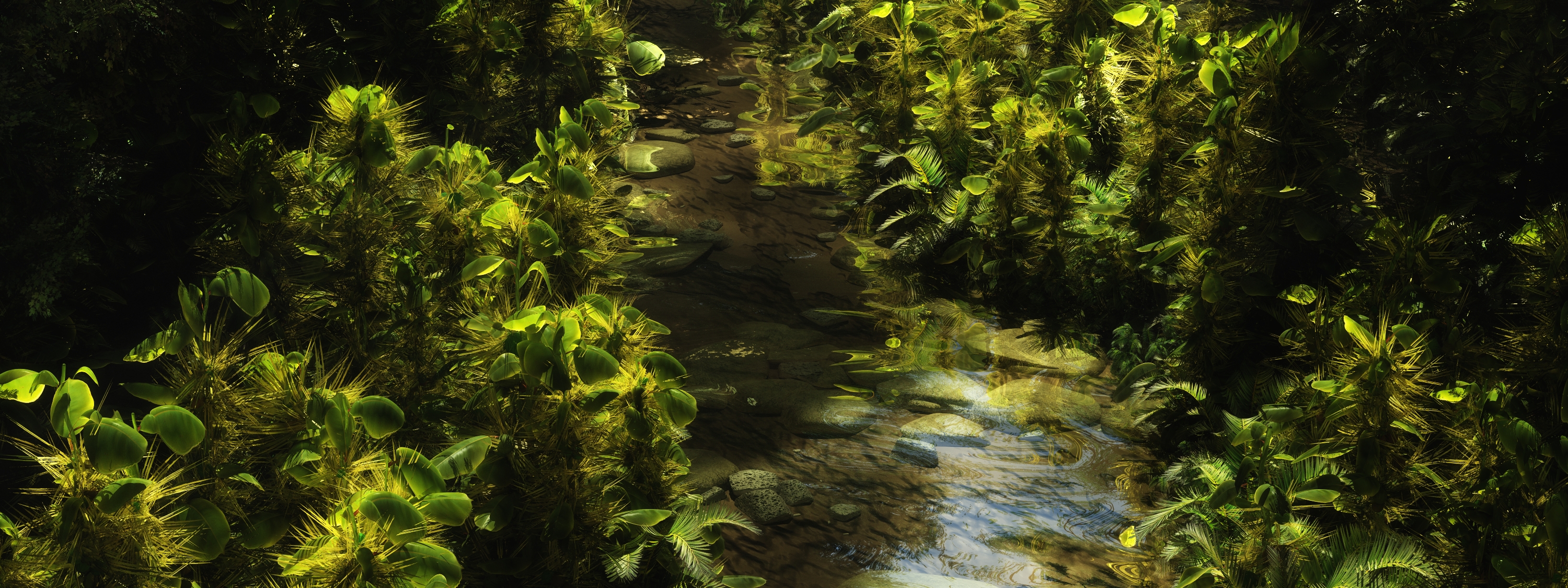 THhe Jungle Stream