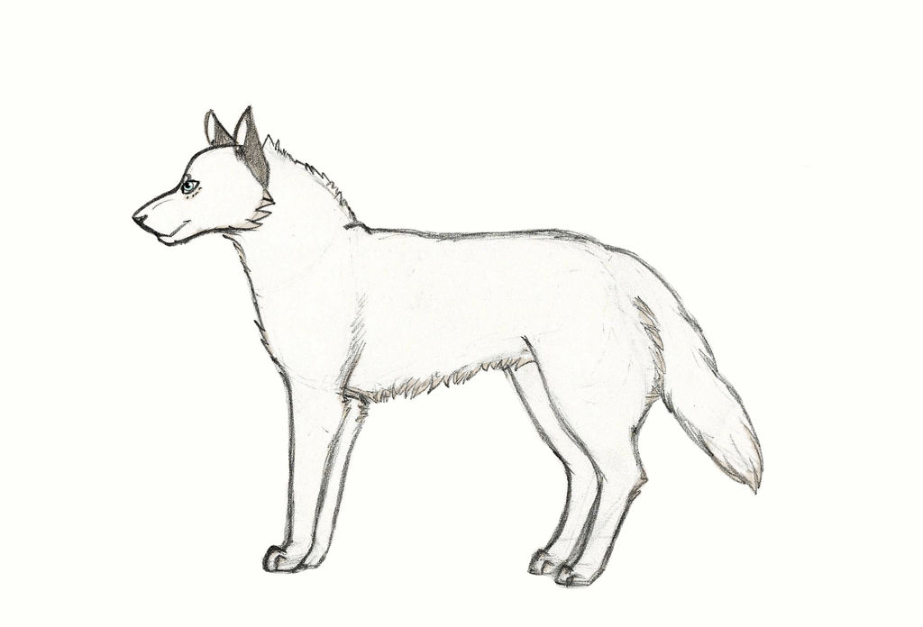 Luc Wolf Uncolored by palewildflower on DeviantArt