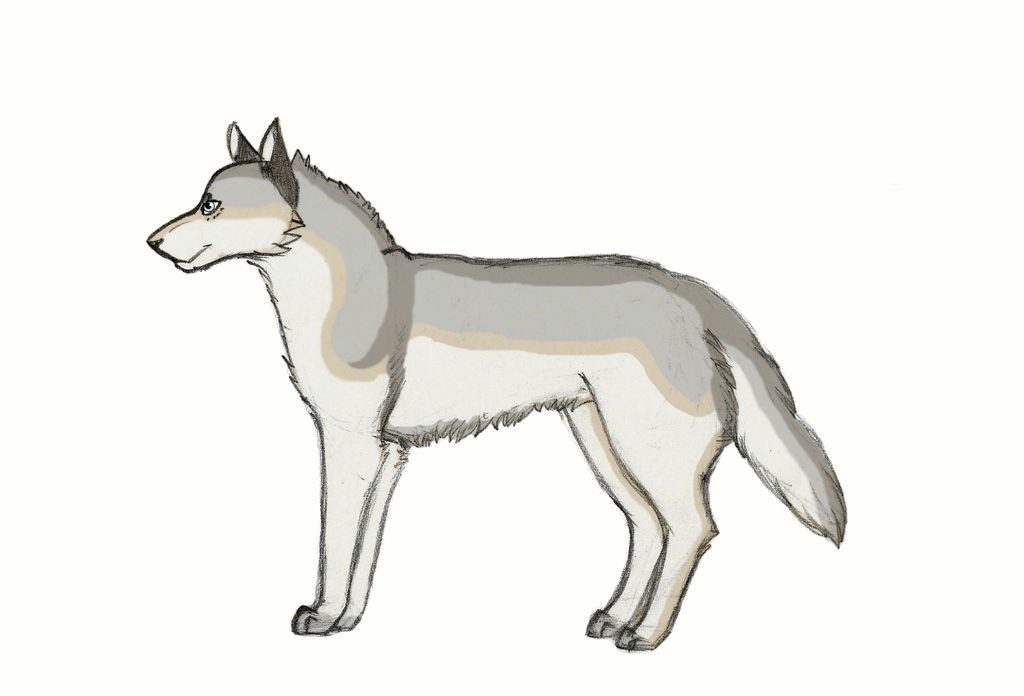 Luc Wolf Colored by palewildflower on DeviantArt