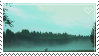 Fog [stamp]