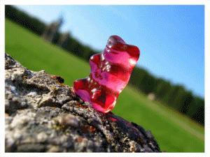 gummy bear