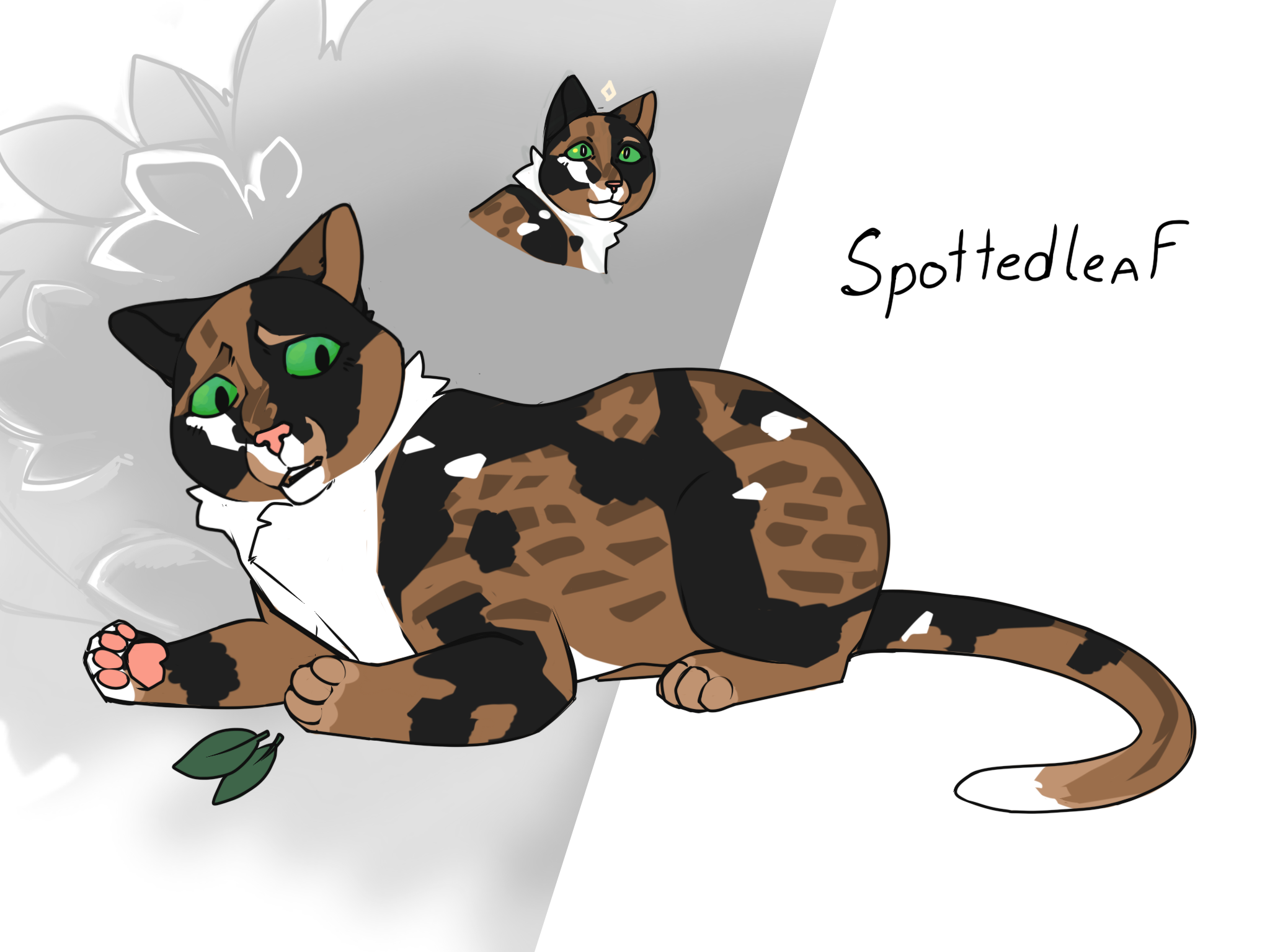 Spotledleaf Spottedleaf by AvesAdversary on DeviantArt