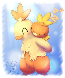 Torchic and Combusken