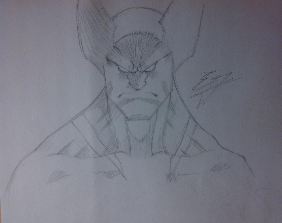 Wolverine Fan Art