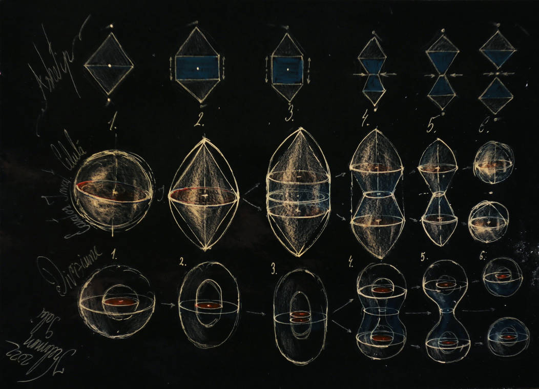 geometry of cell division by kelemengabi on DeviantArt