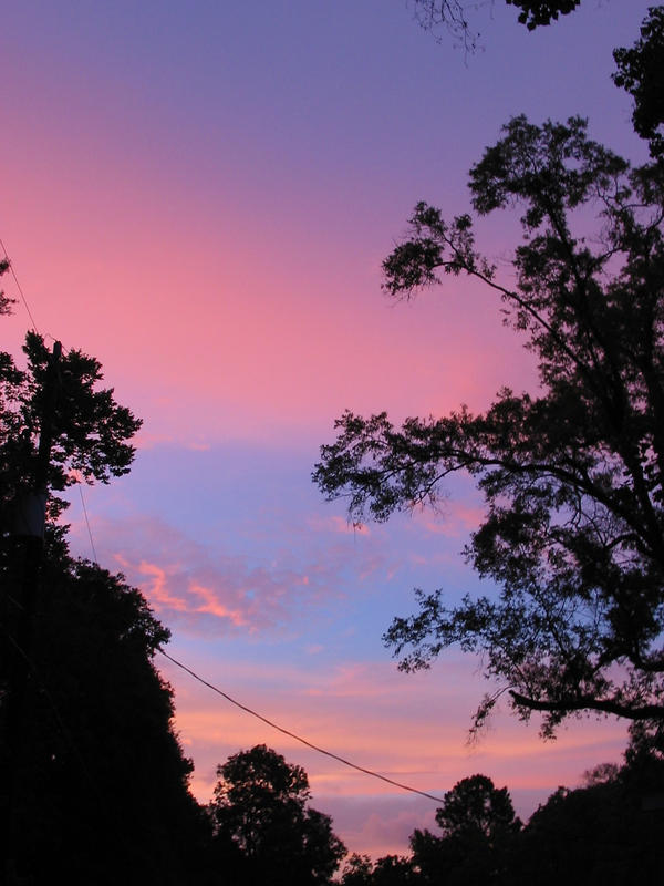 Pink Clouds by FrogsRSexy on DeviantArt