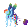 Rainbow Dash Ref