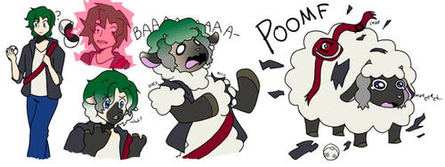 Where there's a wool, there's a way [Wooloo TF]