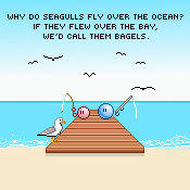 Emotes, Seagulls and Bagels