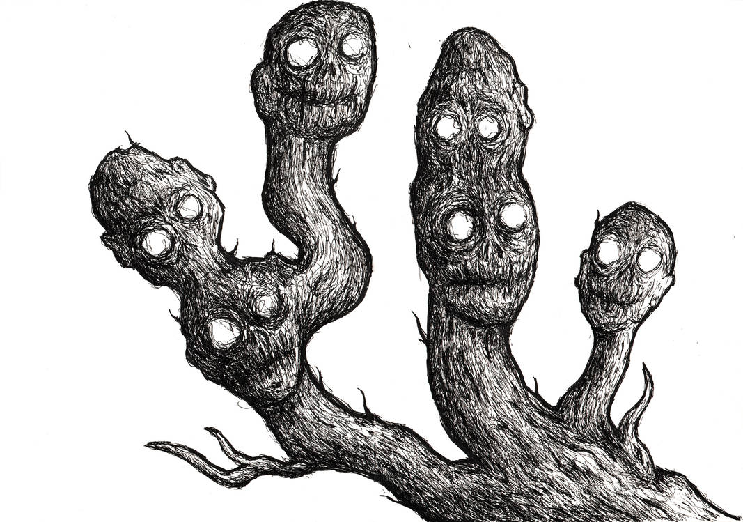 Head Root by Grimorio8 on DeviantArt