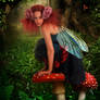 Forest Fairy