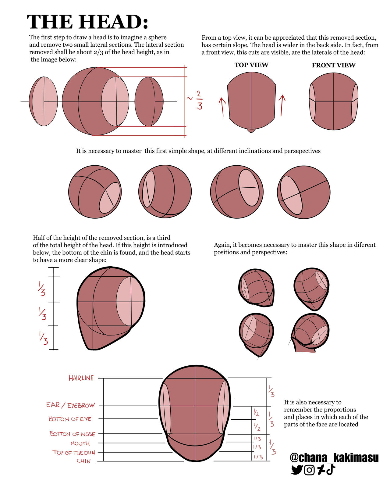 Basic 9 Head Head Construction Basic Tips by ChanaKakimasu on DeviantArt