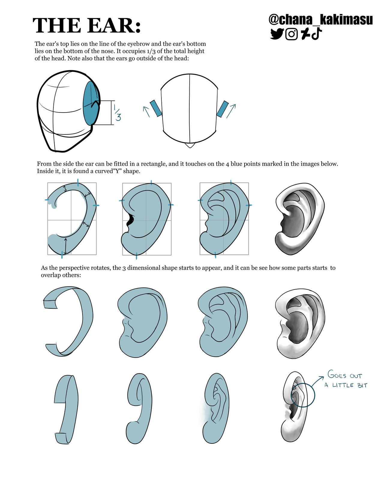 Ear Construction Basic Tips by ChanaKakimasu on DeviantArt