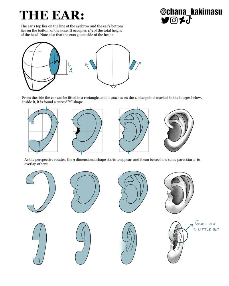 Ear Construction Basic Tips by ChanaKakimasu on DeviantArt