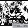 Wolverine Legacy