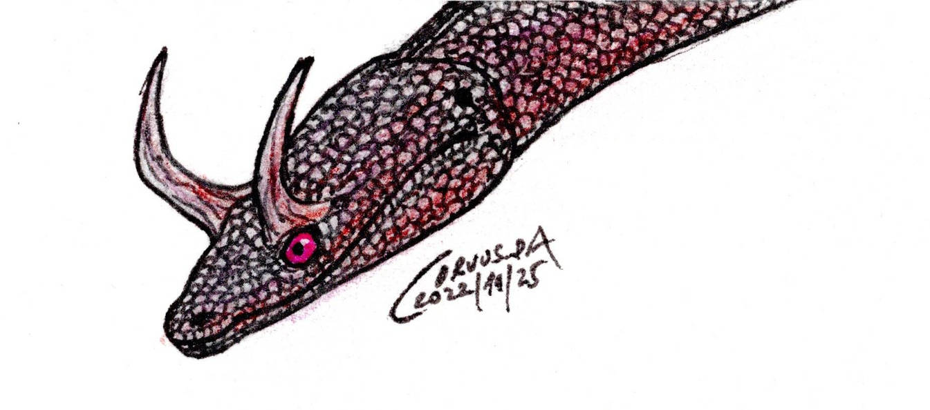 Snake-like Dragon by Corvus-DA on DeviantArt