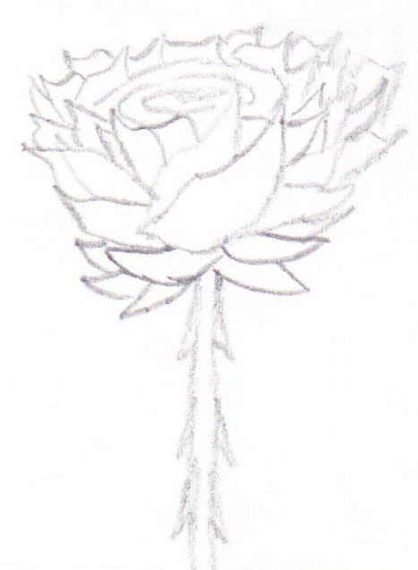 Uncolored Roses Simple Uncolored Rose by Kingko365 on DeviantArt