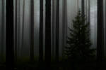 hountedforest by soomuk