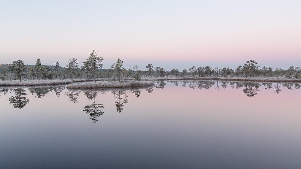 pink morning